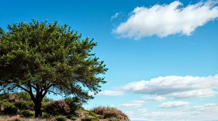 How long does Bravecto tick protection last?