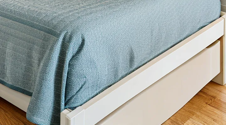 What are bedbugs in an apartment and why are they hazardous?