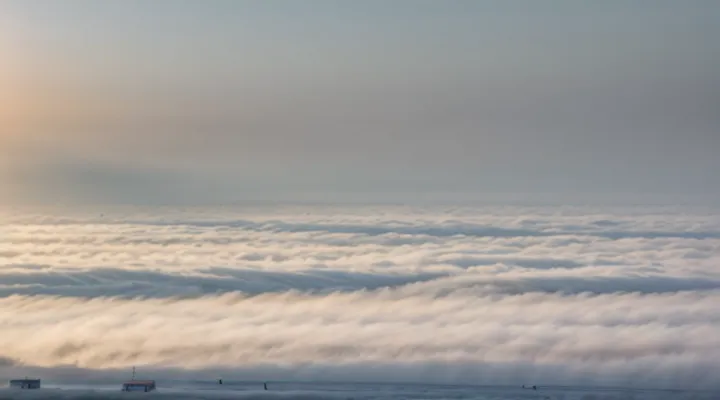 What is a hot fog for bedbugs?