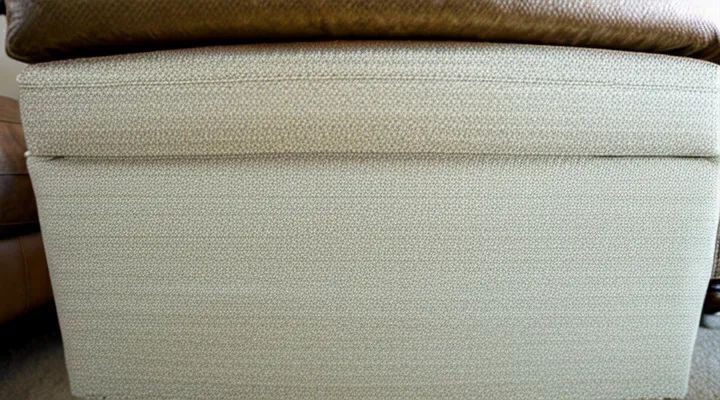 Where do bedbugs in furniture come from?