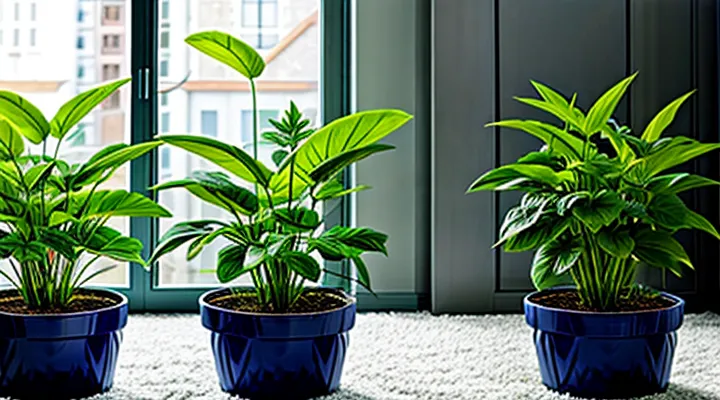 Which plants repel bedbugs?