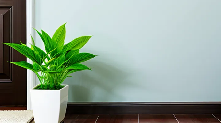 Which plants repel fleas in the home?